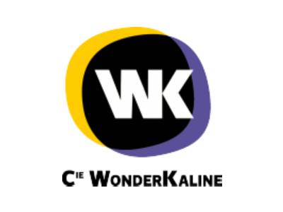 logo wonderkaline